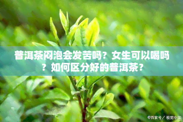 普洱茶闷泡会发苦吗？女生可以喝吗？如何区分好的普洱茶？