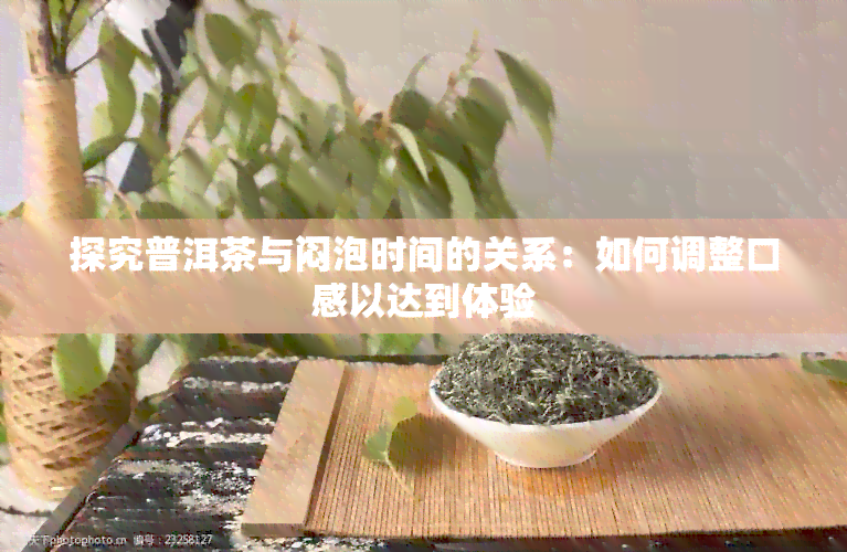 探究普洱茶与闷泡时间的关系：如何调整口感以达到体验