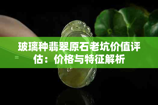 玻璃种翡翠原石老坑价值评估：价格与特征解析