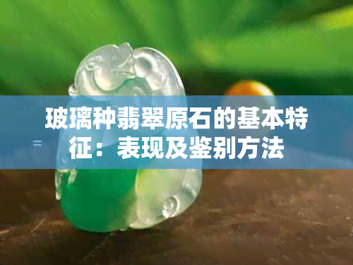 玻璃种翡翠原石的基本特征：表现及鉴别方法