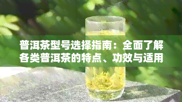 普洱茶型号选择指南：全面了解各类普洱茶的特点、功效与适用场景