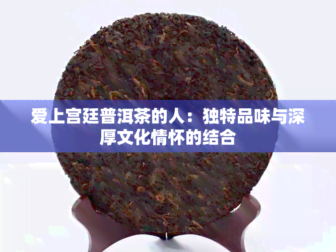 爱上宫廷普洱茶的人：独特品味与深厚文化情怀的结合