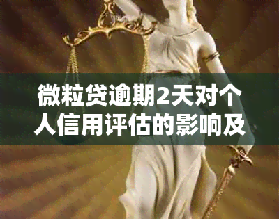 微粒贷逾期2天对个人信用评估的影响及解决办法全面解析