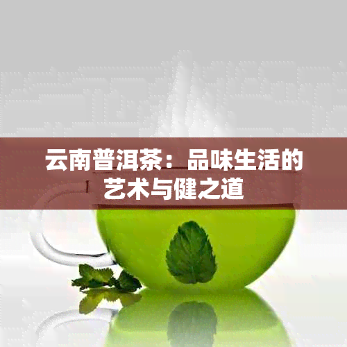 云南普洱茶：品味生活的艺术与健之道