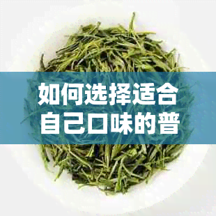 如何选择适合自己口味的普洱茶标号？