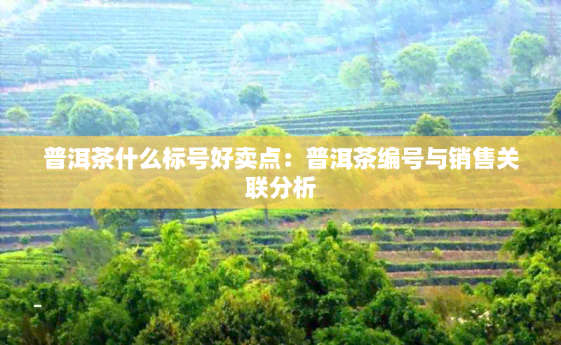 普洱茶什么标号好卖点：普洱茶编号与销售关联分析