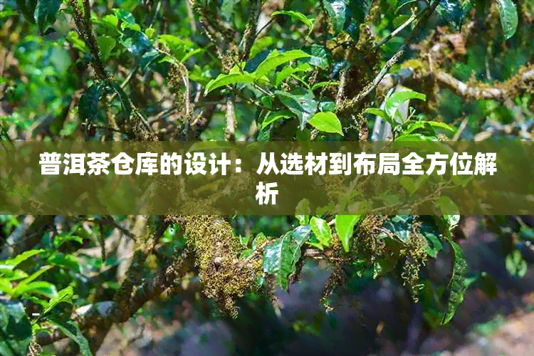 普洱茶仓库的设计：从选材到布局全方位解析