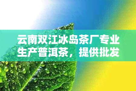 云南双江冰岛茶厂专业生产普洱茶，提供批发比价服务，优质供应商