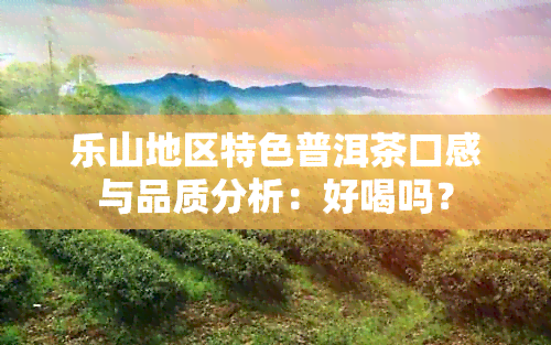 乐山地区特色普洱茶口感与品质分析：好喝吗？