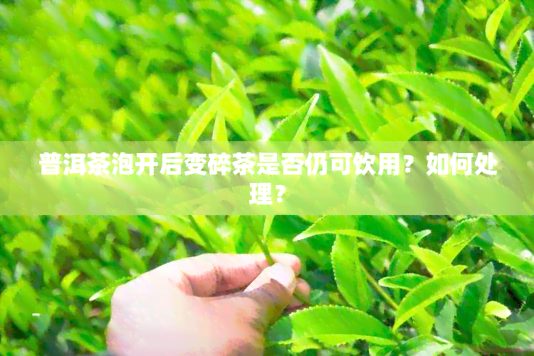 普洱茶泡开后变碎茶是否仍可饮用？如何处理？