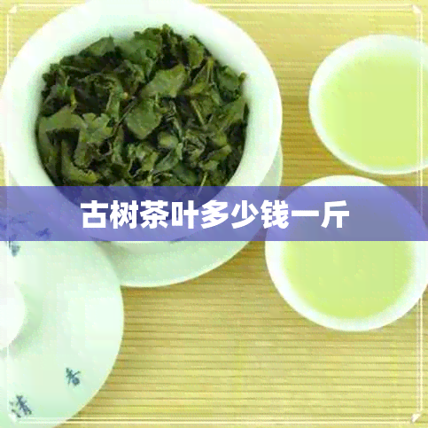 古树茶叶多少钱一斤