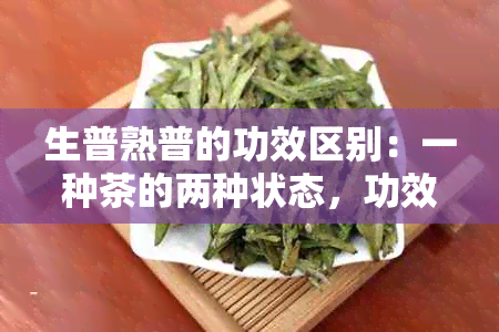 生普熟普的功效区别：一种茶的两种状态，功效有何不同？