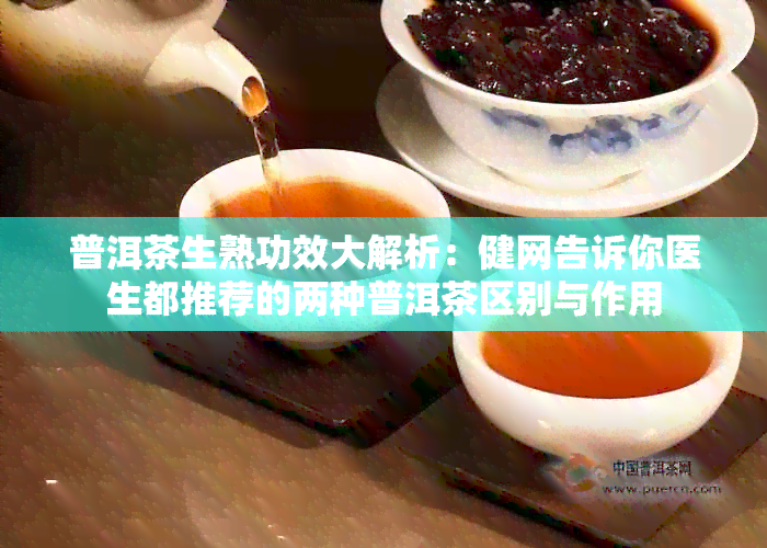 普洱茶生熟功效大解析：健网告诉你医生都推荐的两种普洱茶区别与作用