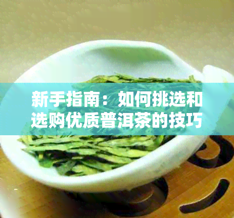 新手指南：如何挑选和选购优质普洱茶的技巧与方法