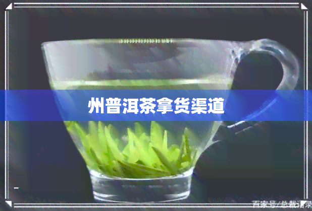 州普洱茶拿货渠道