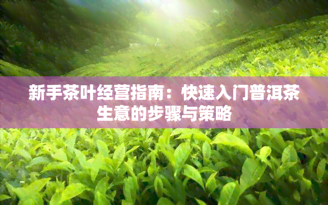 新手茶叶经营指南：快速入门普洱茶生意的步骤与策略