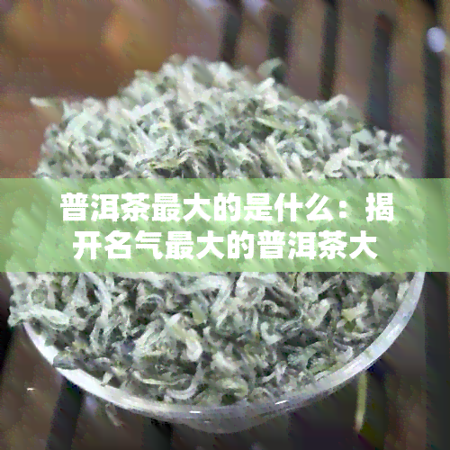 普洱茶更大的是什么：揭开名气更大的普洱茶大