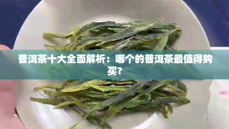 普洱茶十大全面解析：哪个的普洱茶最值得购买？