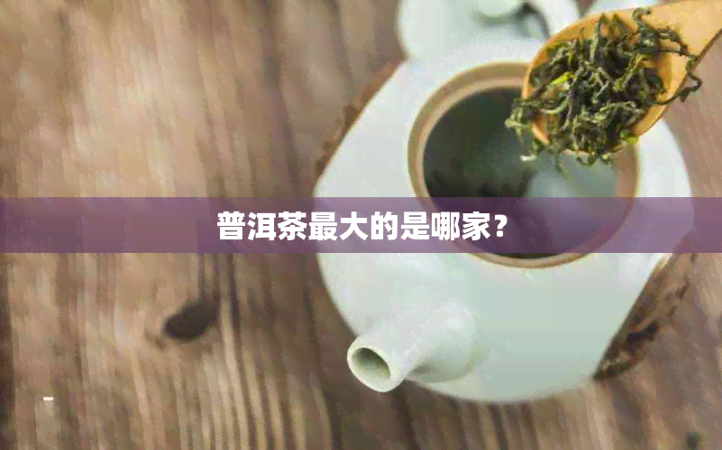 普洱茶更大的是哪家？