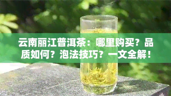 云南丽江普洱茶：哪里购买？品质如何？泡法技巧？一文全解！