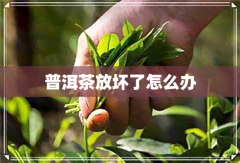 普洱茶放坏了怎么办