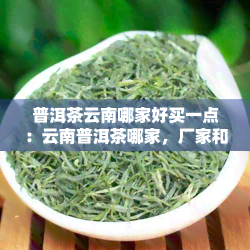 普洱茶云南哪家好买一点：云南普洱茶哪家，厂家和性价比更高？