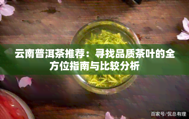 云南普洱茶推荐：寻找品质茶叶的全方位指南与比较分析