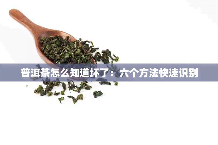 普洱茶怎么知道坏了：六个方法快速识别