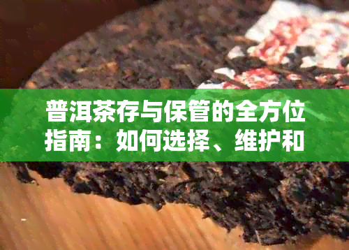 普洱茶存与保管的全方位指南：如何选择、维护和保护您的普洱茶