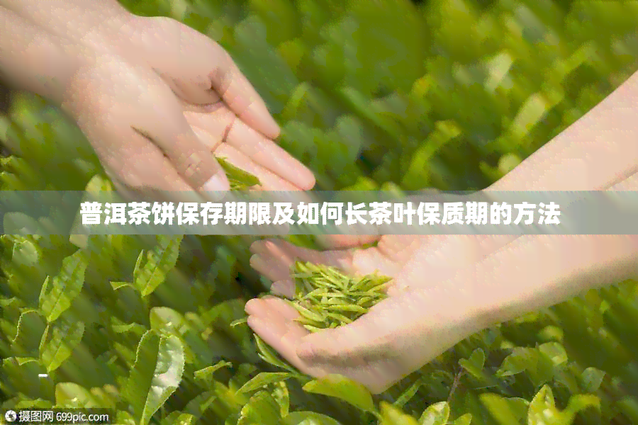 普洱茶饼保存期限及如何长茶叶保质期的方法