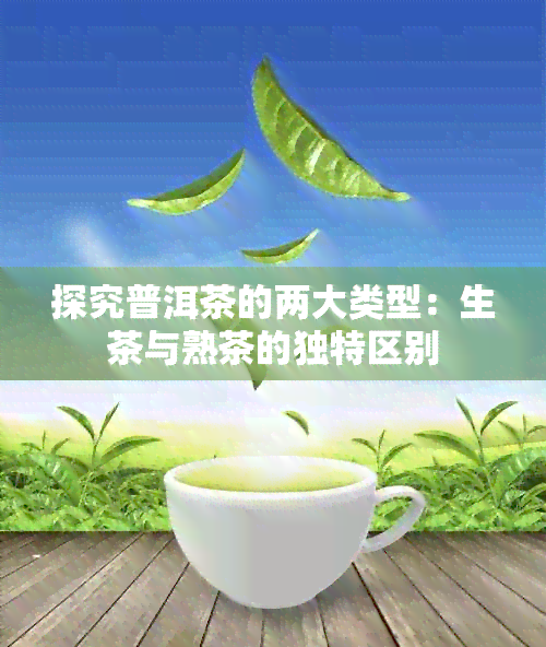 探究普洱茶的两大类型：生茶与熟茶的独特区别