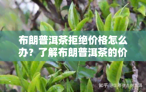 布朗普洱茶拒绝价格怎么办？了解布朗普洱茶的价格影响因素与市场趋势