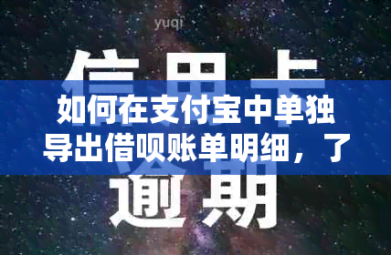 如何在支付宝中单独导出借呗账单明细，了解详细借款记录？