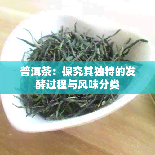 普洱茶：探究其独特的发酵过程与风味分类