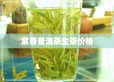 紫尊普洱茶生茶价格