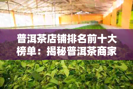 普洱茶店铺排名前十大榜单：揭秘普洱茶商家强势榜