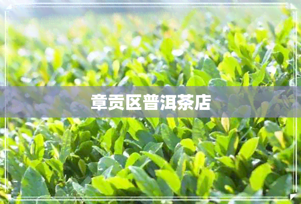 章贡区普洱茶店