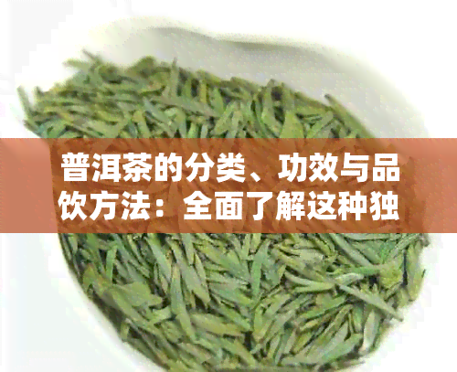 普洱茶的分类、功效与品饮方法：全面了解这种独特的茶性