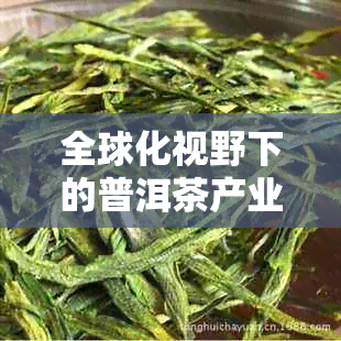 全球化视野下的普洱茶产业分析：国外市场需求与消费者行为研究