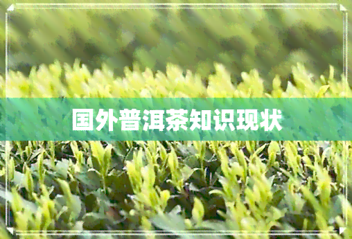 国外普洱茶知识现状