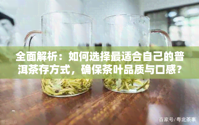 全面解析：如何选择最适合自己的普洱茶存方式，确保茶叶品质与口感？