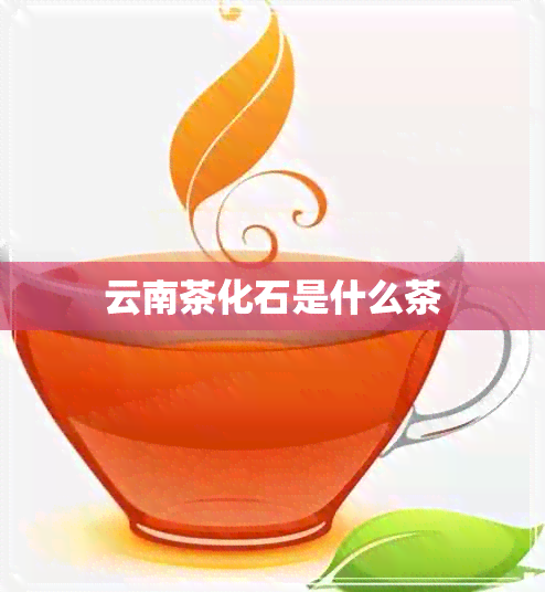 云南茶化石是什么茶