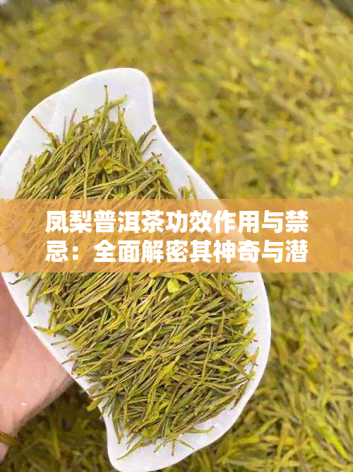 凤梨普洱茶功效作用与禁忌：全面解密其神奇与潜在风险