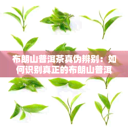 布朗山普洱茶真伪辨别：如何识别真正的布朗山普洱茶及其山寨产品？