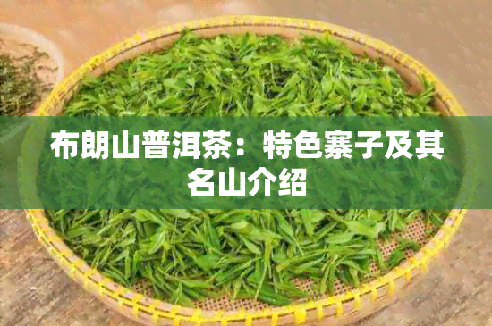 布朗山普洱茶：特色寨子及其名山介绍