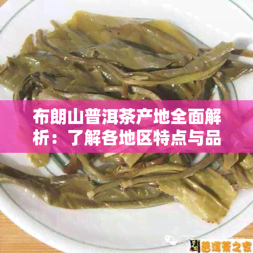 布朗山普洱茶产地全面解析：了解各地区特点与品质，助您挑选优质茶叶