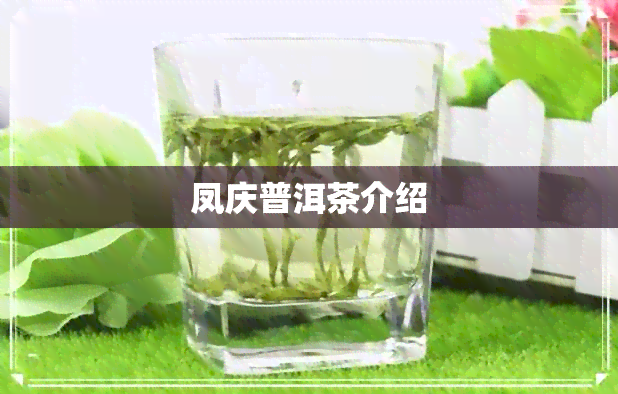 凤庆普洱茶介绍