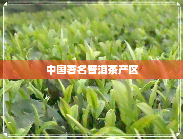 中国著名普洱茶产区