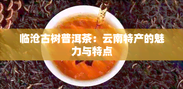 临沧古树普洱茶：云南特产的魅力与特点