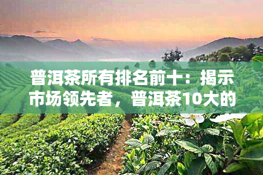 普洱茶所有排名前十：揭示市场领先者，普洱茶10大的最新排名与解析